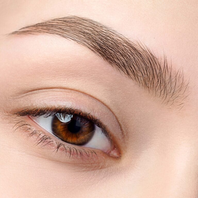 Gros plan d'un sourcil parfait avec un effet poil à poil, résultat de la technique de dermopigmentation lors de la Formation maquillage permanent sourcils